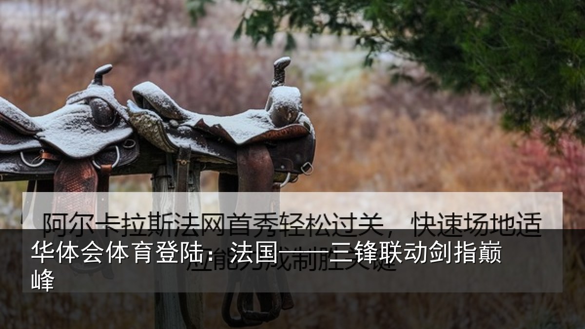 华体会体育登陆:法国——三锋联动剑指巅峰