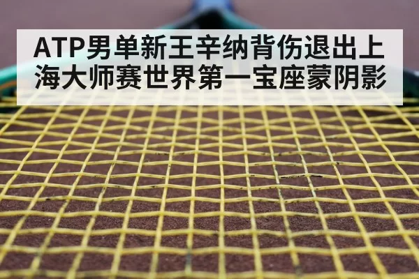 tennis racket closeup